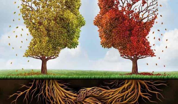 لیست مراکز مشاوره در استان خراسان جنوبی